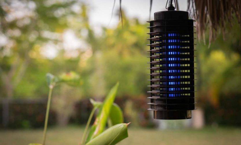 All-About-Solar-Bug-Zappers-833x500.jpg