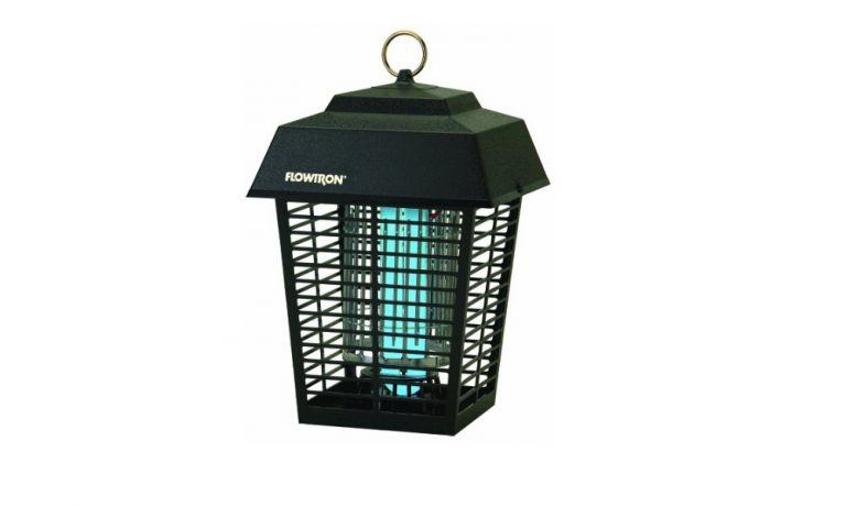 electronic insect toy