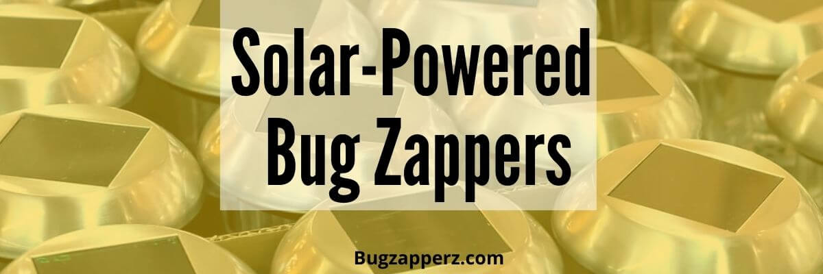 Solar Powered Bug Zappers