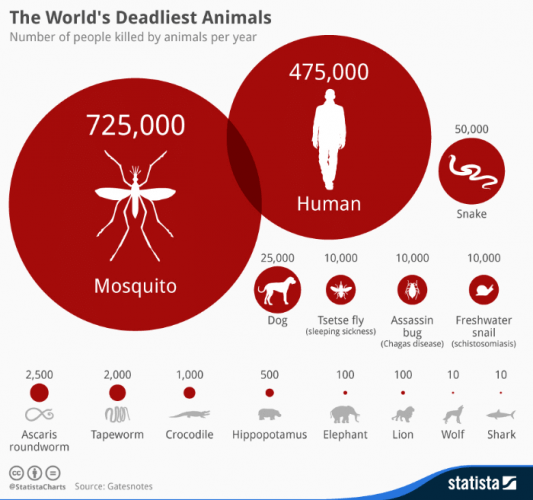 Infographic: The World’s Deadliest Animals | Statista