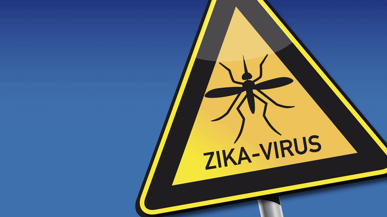 zika virus rash