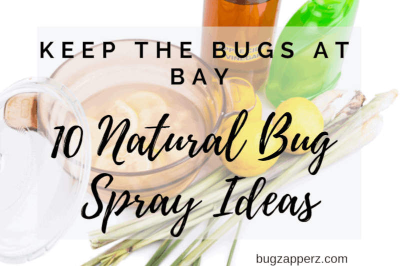 natural bug spray ideas