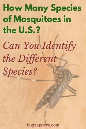 species of mosquitoes in USA