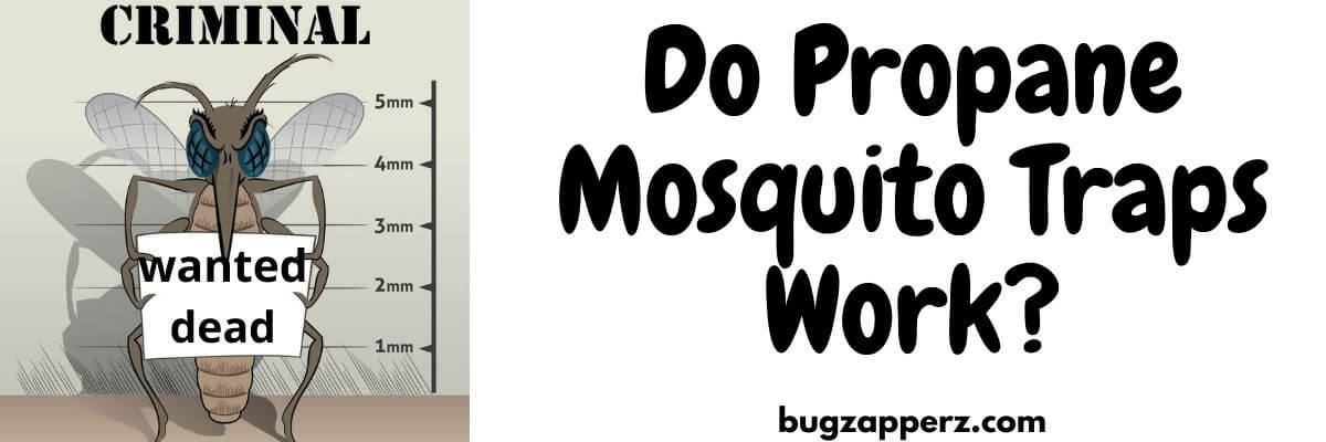 propane mosquito traps