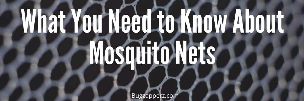 learn about mosquito bed nets