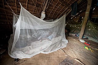 insecticide-treated mosquito net