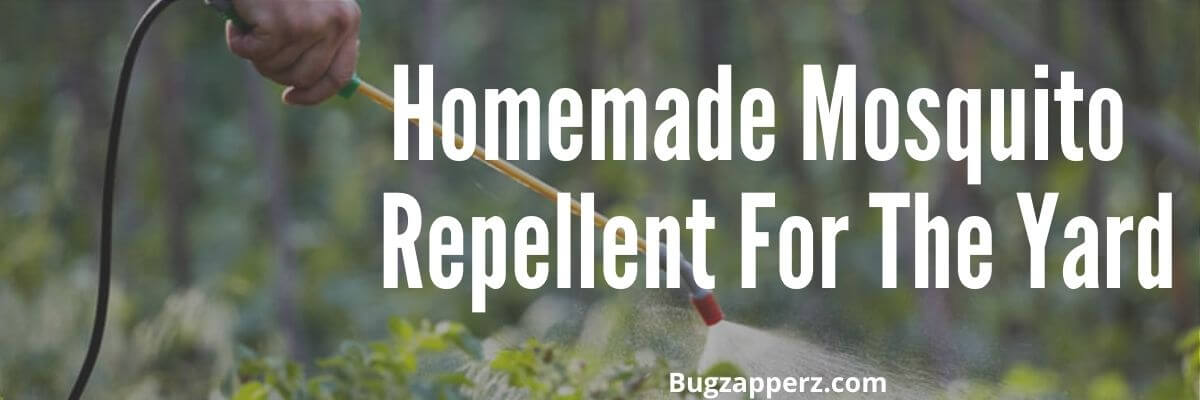 spraying homemade mosquito yard repellent