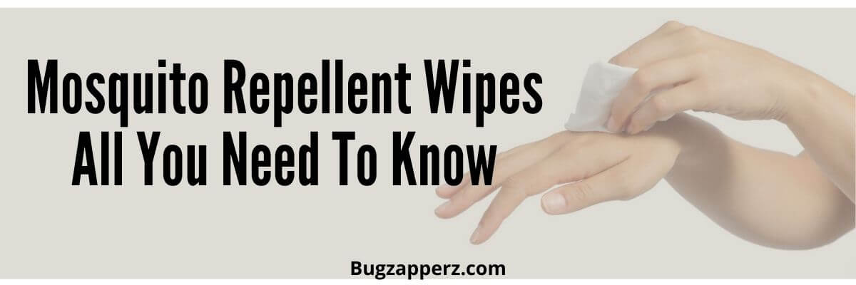 mosquito repellent wipes or towelettes