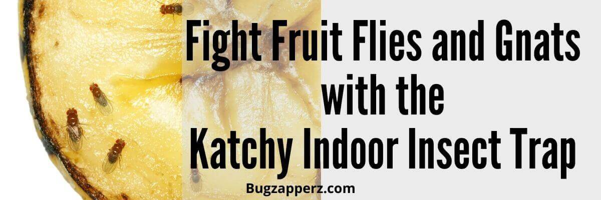 katchy insect trap for fruit flies and gnats