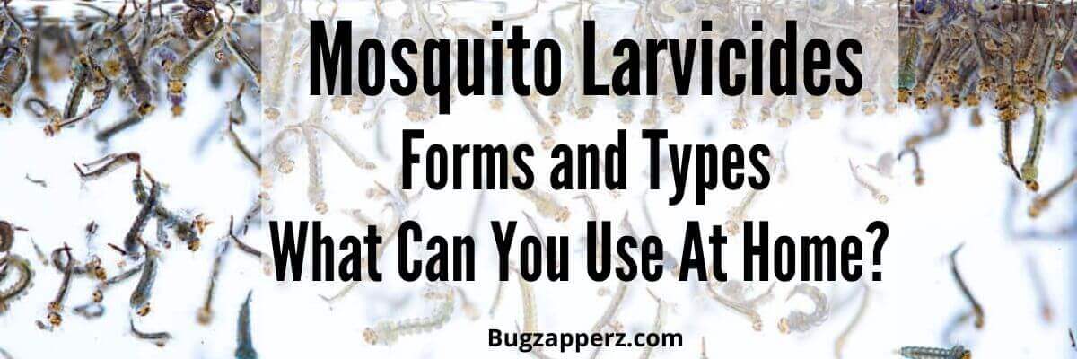 mosquitoes in water-mosquito larvicide