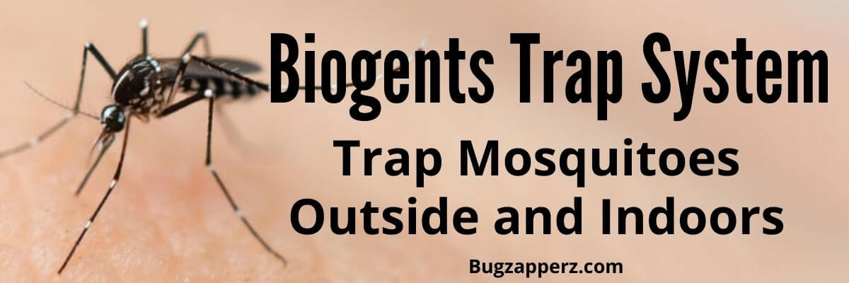 3 traps to catch mosquitoes Biogents trap system