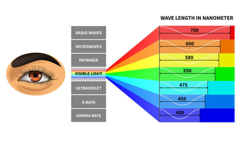 Visible light spectrum. Color waves length perceived by the human eye. 